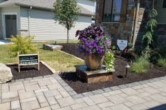 Pot-Front-Yard